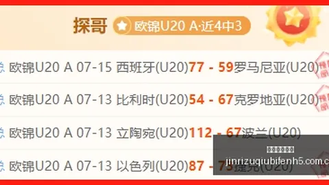 郭艾伦面临抉择：辽篮退役与否，终极指南